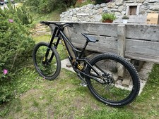Specialized Demo Race 2019