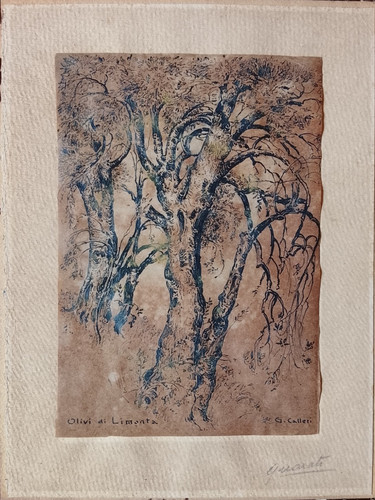 Giovanna calleri carrù cuneo - giovanna,