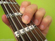 5-String basso tastiera