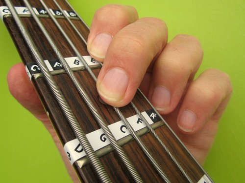 5-String basso tastiera