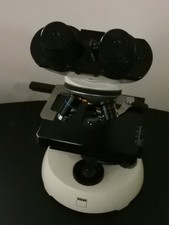 Zeiss West Microscopio