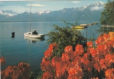 C2 - Cp Cartolina Svizzera