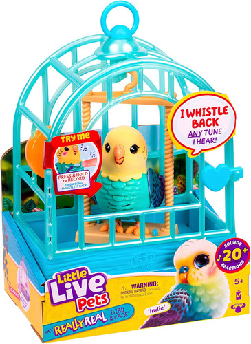 Really real talking bird - really,