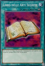 Libro delle Arti Segrete -
