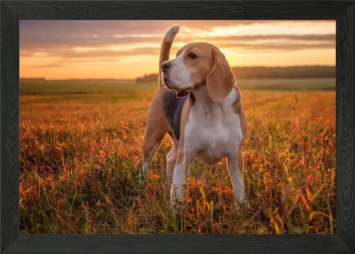 Beagle cute framed wall art - cute,