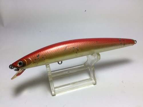 71281 daiwa shore - shore, shiner