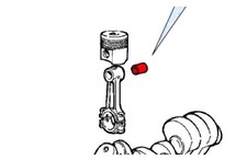 Bronzina boccola piede di