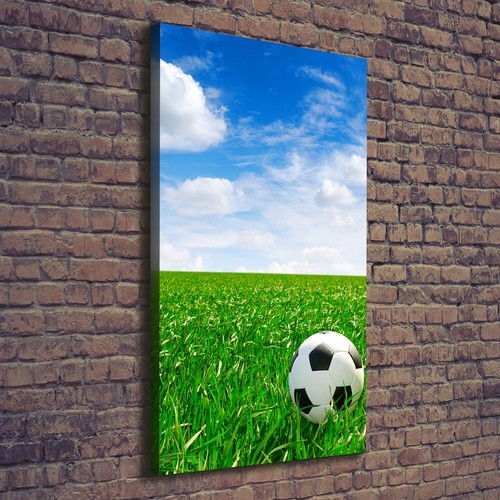 Stampa tela tulup wall - su,
