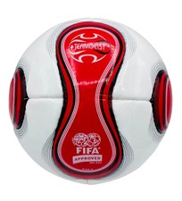 Teamgeist Pallone Ufficiale