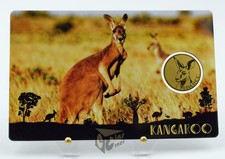 Canguro - Australia's Big 5 -
