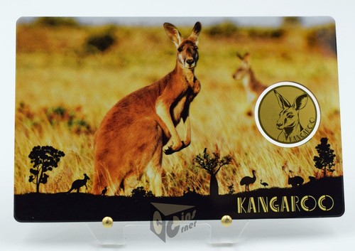 Canguro australia big - -,