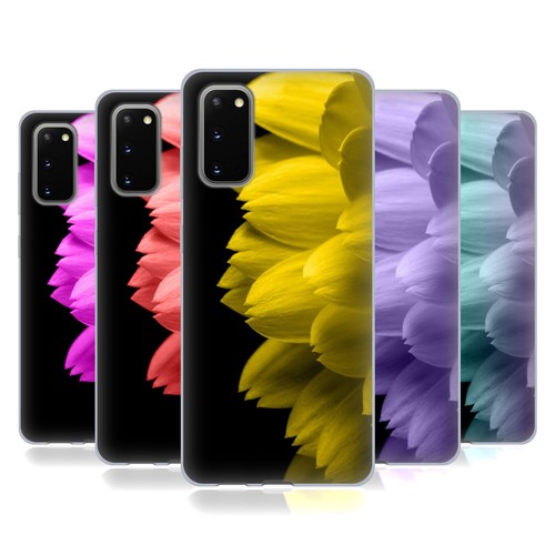 Pldesign petali floreali - petali,