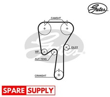 Cinghia distribuzione per FORD