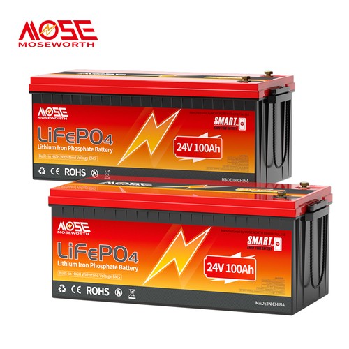 2pcs 24v 100ah lifepo4 - 24v,