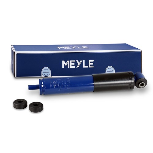 Ammortizzatori posteriori - ammortizzatori,