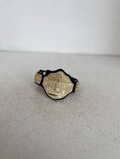 Cintura Del Titolo Di Campione