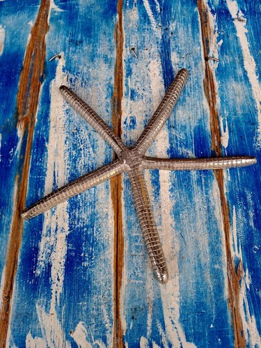 Sottopentola forma stella - a,