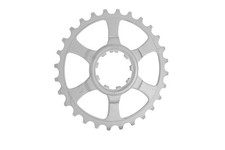 Pignone Ultima Posizione Miche