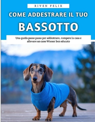 Come addestrare tuo - addestrare,