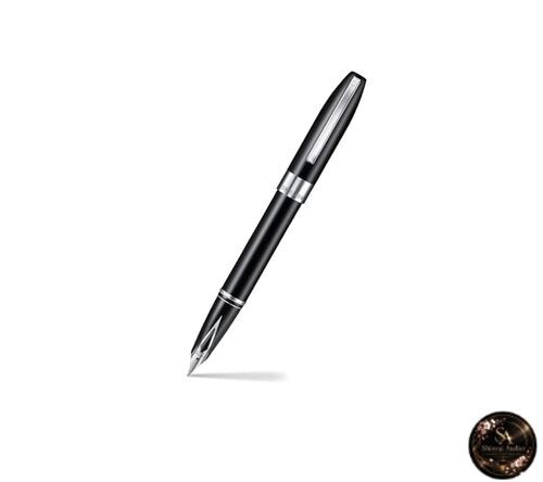 Penna stilografica sheaffer - penna,