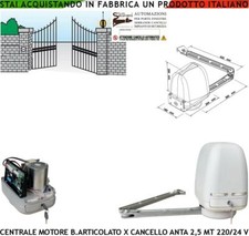 BRACCIO ARTICOLATO CANCELLO