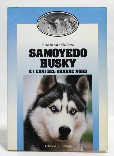 Samoyedo husky cani del - e,