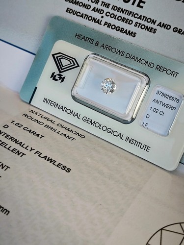 Diamante naturale igi 1 02 - naturale, 1.02