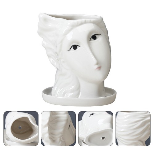 Piantina grassa vasetti - piantina,