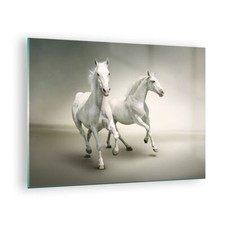 Quadro su Vetro 70x50cm