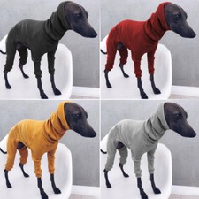 Maglione invernale cucciolo - ,