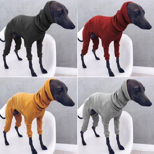 Maglione invernale cucciolo - ,