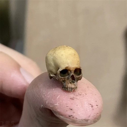 Mini skull miniatura - 💀,