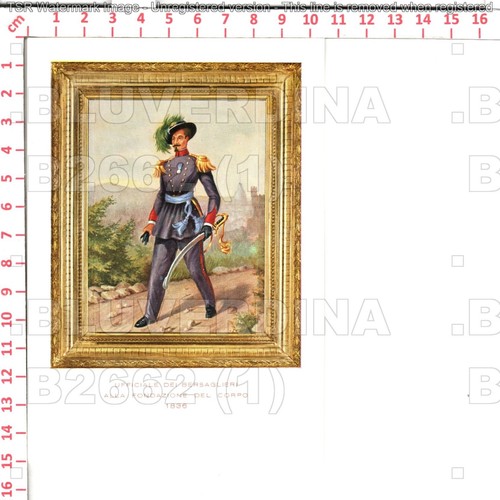 B2662 militare bersaglieri - 3,