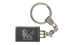 Do Khyi, Tibetano, Mastino