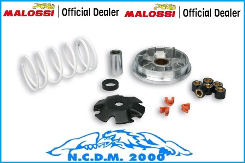 Variatore malossi multivar - variatore,