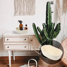  Cesta Porta Oggetti Cestino