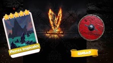 Pierre tropicales x 1 carte
