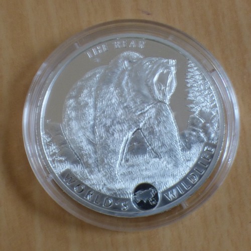Congo francs the bear 2022 - bear,