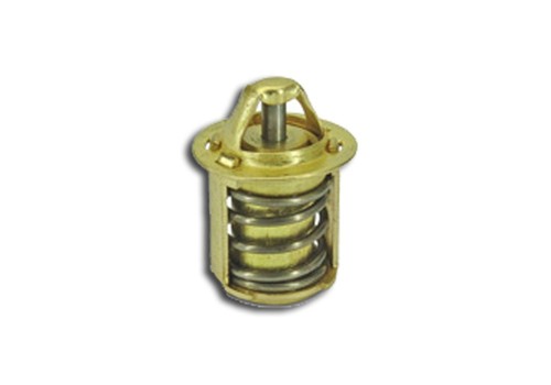 Termostato piaggio nrg - termostato,