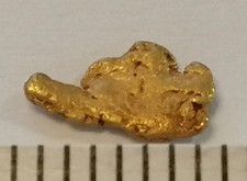 Pepita d'oro XXL, 7 mm oro