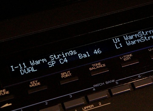 Roland 550 nero super - (nero,