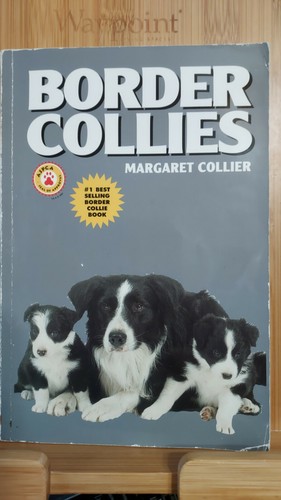 Border collies g1e - border,