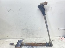 CANNA DELLO STERZO (PIANTONE)