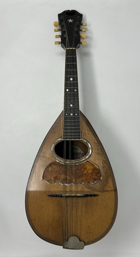 Antico mandolino mayflower - antico,