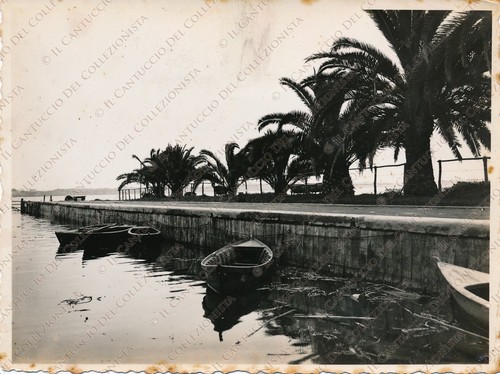 1934 latina lago fogliano - latina,