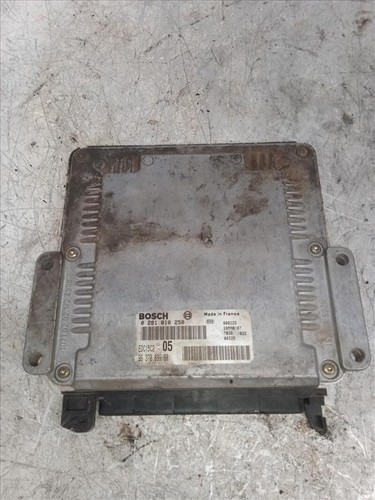 0281010250 centralina motore