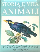 STORIA E VITA DEGLI ANIMALI. 80 TAVOLE AA.VV. EDITORIALE VITA 1973 