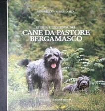 Cane pastore bergamasco - cane,