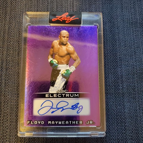2025 leaf electrum floyd - 2025,