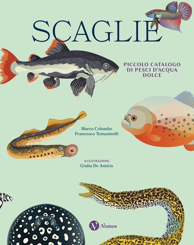 Scaglie piccolo catalogo - scaglie.,